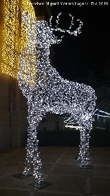 Palacio de la Diputación. Iluminación navideña